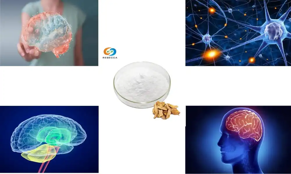 Resveratrol Powder: Supporting Cognitive Function Resveratrol Powder: Supporting Cognitive Function